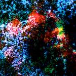 image: Image from the photoset ‘
damage (cclxxxiv)
’.