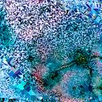 image: Image from the photoset ‘
damage (cclxxxiv)
’.