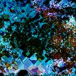 image: Image from the photoset ‘
damage (cclxxxv)
’.