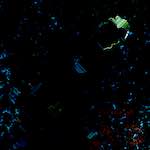 image: Image from the photoset ‘
damage (cclxxxv)
’.