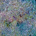 image: Image from the photoset ‘
damage (cclxxxv)
’.