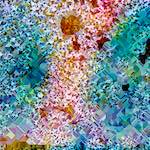 image: Image from the photoset ‘
damage (cclxxxv)
’.