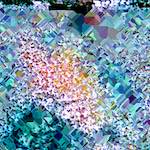 image: Image from the photoset ‘
damage (cclxxxvi)
’.