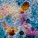 image: Image from the photoset ‘
damage (cclxxxvi)
’.