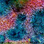 image: Image from the photoset ‘
damage (cclxxxvi)
’.