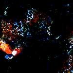 image: Image from the photoset ‘
damage (cclxxxvii)
’.