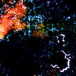 image: Image from the photoset ‘
damage (cclxxxvii)
’.