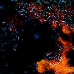 image: Image from the photoset ‘
damage (cclxxxvii)
’.