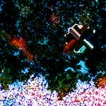 image: Image from the photoset ‘
damage (cclxxxviii)
’.