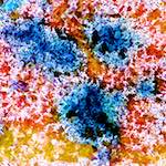 image: Image from the photoset ‘
damage (cclxxxviii)
’.