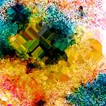 image: Image from the photoset ‘
damage (cclxxxviii)
’.