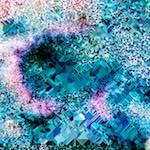 image: Image from the photoset ‘
damage (cclxxxviii)
’.