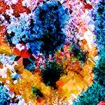 image: Image from the photoset ‘
damage (cclxxxviii)
’.