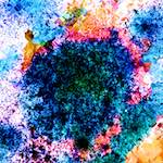 image: Image from the photoset ‘
damage (cclxxxix)
’.