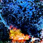 image: Image from the photoset ‘
damage (cclxxxix)
’.