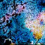 image: Image from the photoset ‘
damage (cclxxxix)
’.