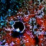 image: Image from the photoset ‘
damage (cclxxxix)
’.