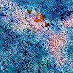 image: Image from the photoset ‘
damage (cclxxxix)
’.