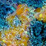 image: Image from the photoset ‘
damage (ccxc)
’.