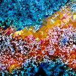 image: Image from the photoset ‘
damage (ccxci)
’.