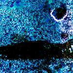 image: Image from the photoset ‘
damage (ccxci)
’.