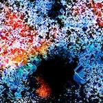 image: Image from the photoset ‘
damage (ccxci)
’.