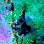 image: Image from the photoset ‘
damage (clxxxvi)
’.