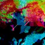 image: Image from the photoset ‘
damage (clxxxviii)
’.