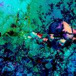 image: Image from the photoset ‘
damage (clxxxix)
’.