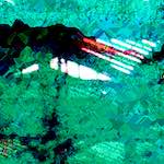 image: Image from the photoset ‘
damage (clxxxix)
’.