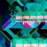 image: Image from the photoset ‘
damage (cxc)
’.