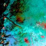 image: Image from the photoset ‘
damage (cxci)
’.