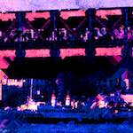 image: Image from the photoset ‘
damage (cxciii)
’.