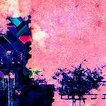 image: Image from the photoset ‘
damage (cxcv)
’.