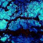 image: Image from the photoset ‘
damage (cxcvi)
’.