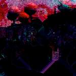 image: Image from the photoset ‘
damage (cc)
’.