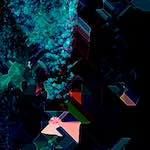 image: Image from the photoset ‘
damage (cci)
’.