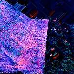 image: Image from the photoset ‘
damage (cci)
’.