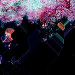 image: Image from the photoset ‘
damage (cci)
’.