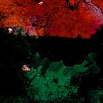 image: Image from the photoset ‘
damage (ccii)
’.