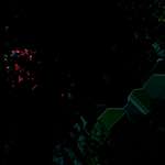 image: Image from the photoset ‘
damage (ccii)
’.