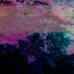 image: Image from the photoset ‘
damage (cciii)
’.