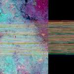 image: Image from the photoset ‘
damage (cciii)
’.