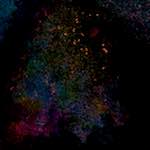 image: damage (ccv) photoset