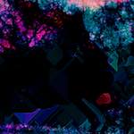 image: Image from the photoset ‘
damage (ccx)
’.