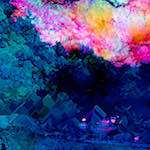 image: Image from the photoset ‘
damage (ccx)
’.