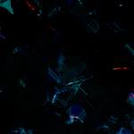 image: Image from the photoset ‘
damage (ccxi)
’.