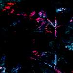 image: Image from the photoset ‘
damage (ccxi)
’.