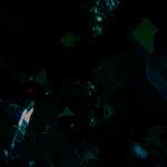 image: Image from the photoset ‘
damage (ccxi)
’.