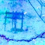 image: Image from the photoset ‘
damage (ccxii)
’.